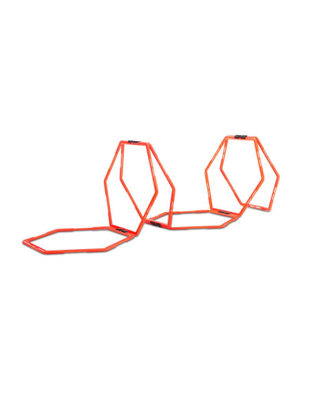 Sveltus Training Leiter