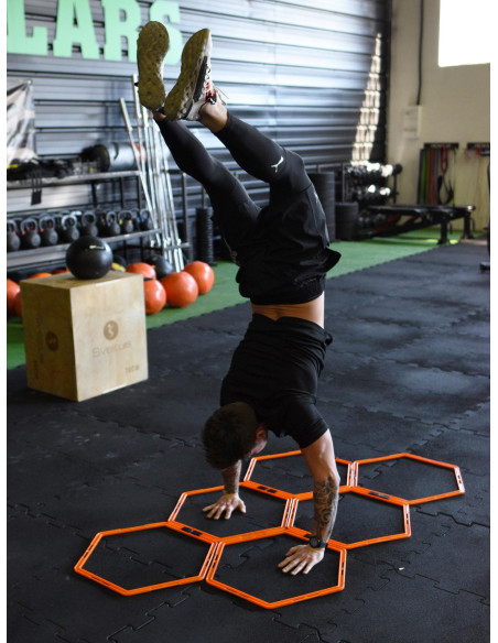 Sveltus Training Leiter