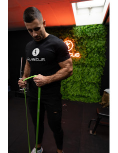 Sveltus Power Band grün 11-30 kg 2